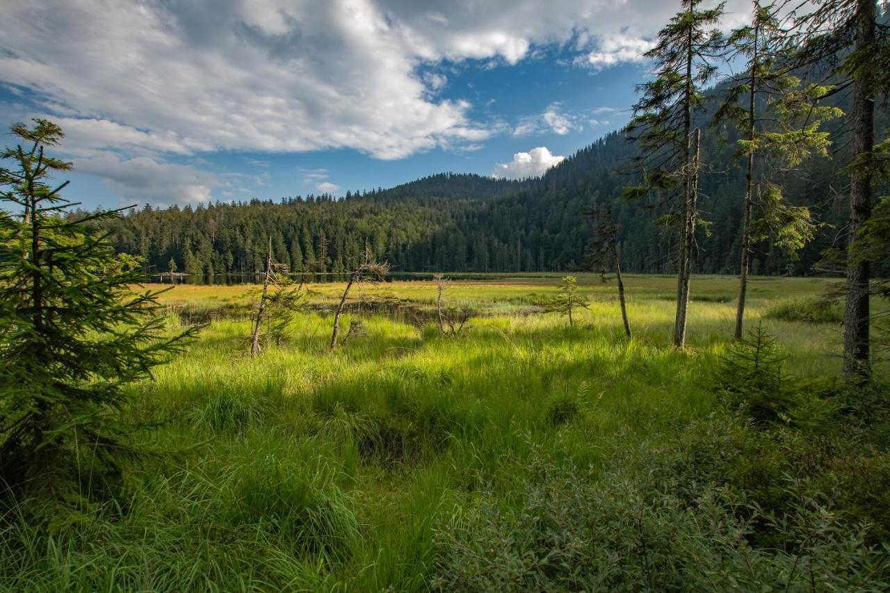 Wander Und Aktiv Roesslwirt Hotel