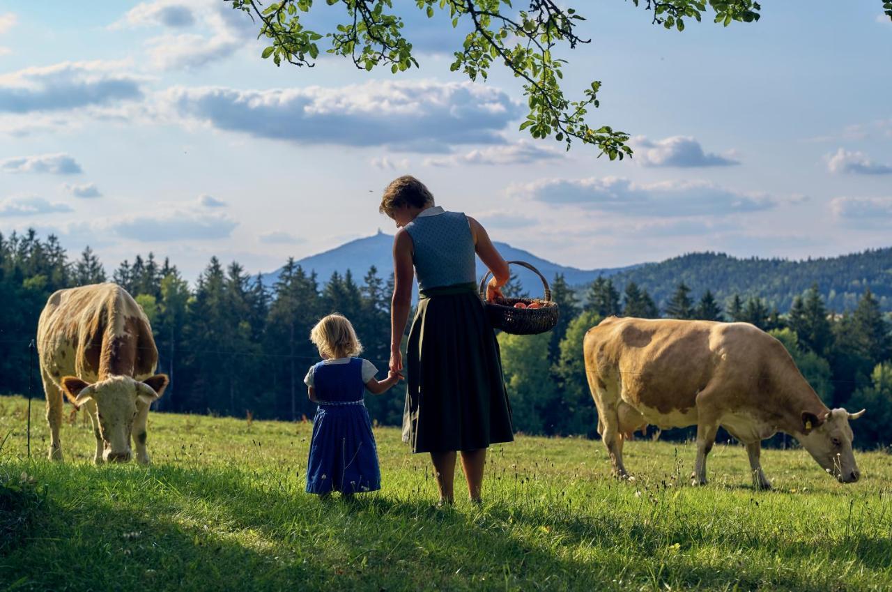 Wander Und Aktiv Roesslwirt Lam